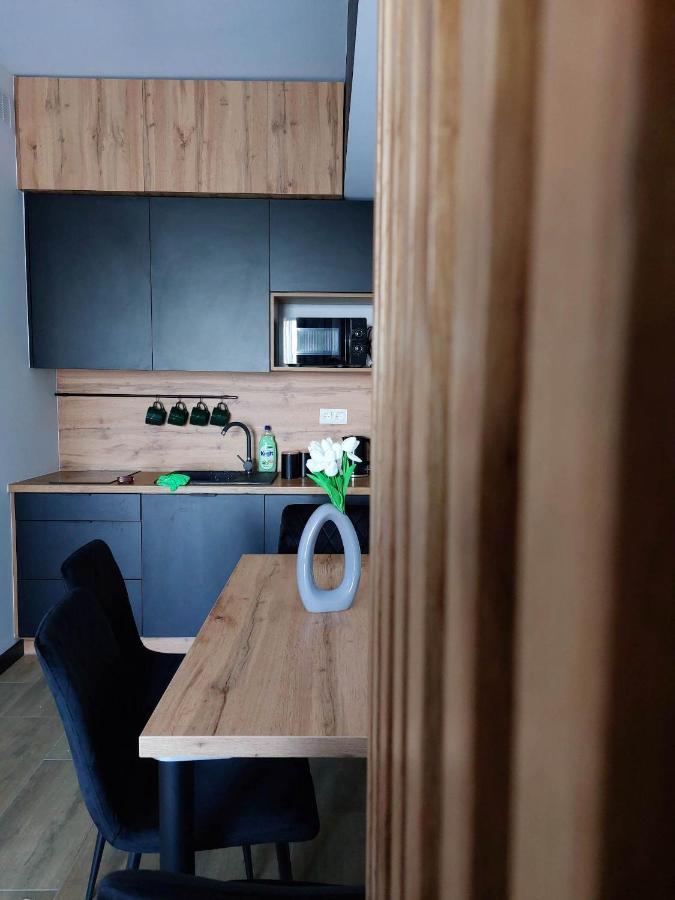 Apartment Good Place Zator